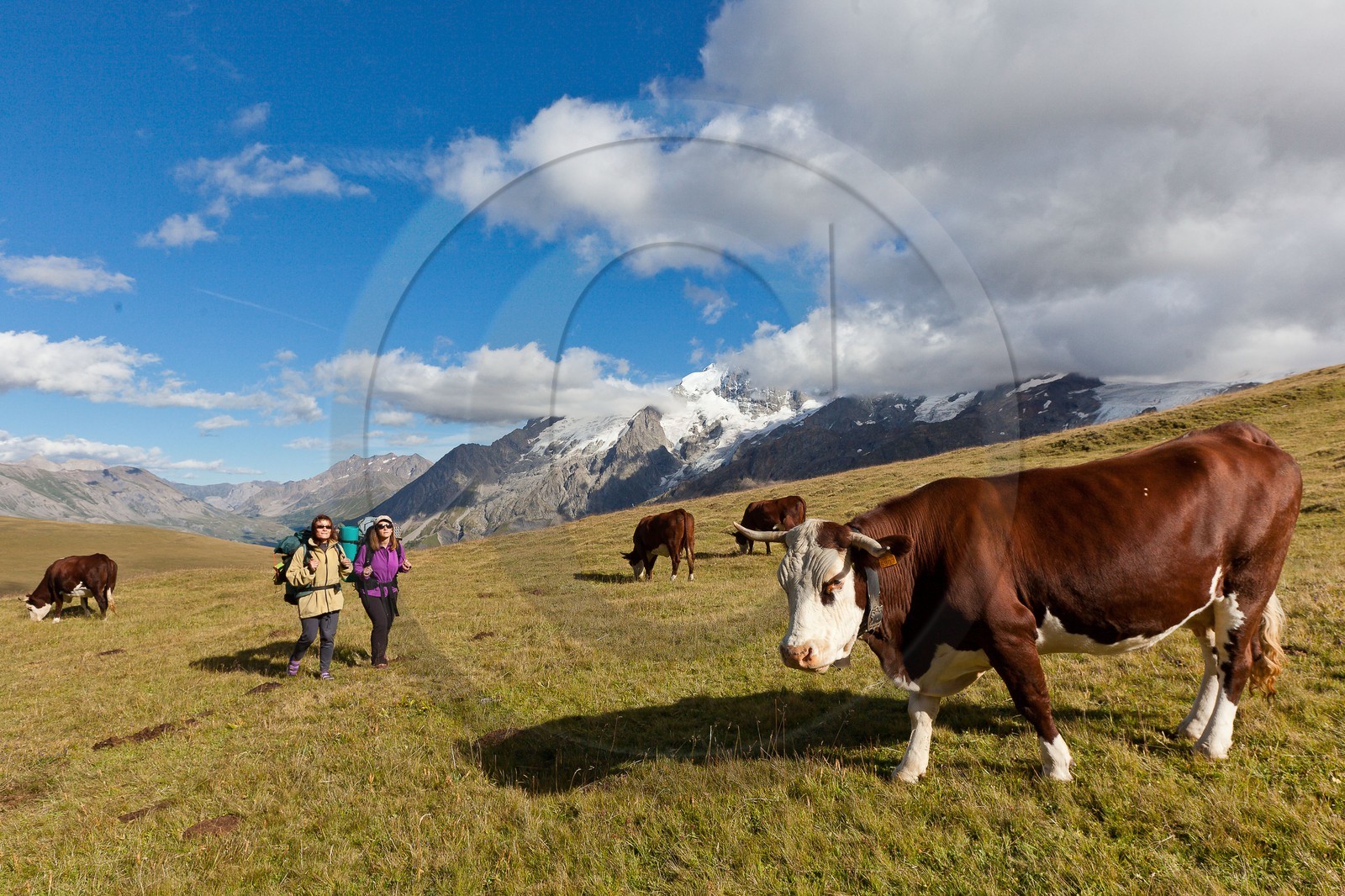 Randonnée au Plateau d'Emparis, Lac Lérié