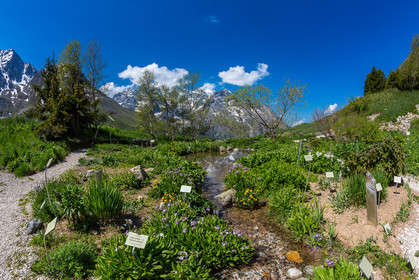 Jardin Botanique Alpin du Lautaret
