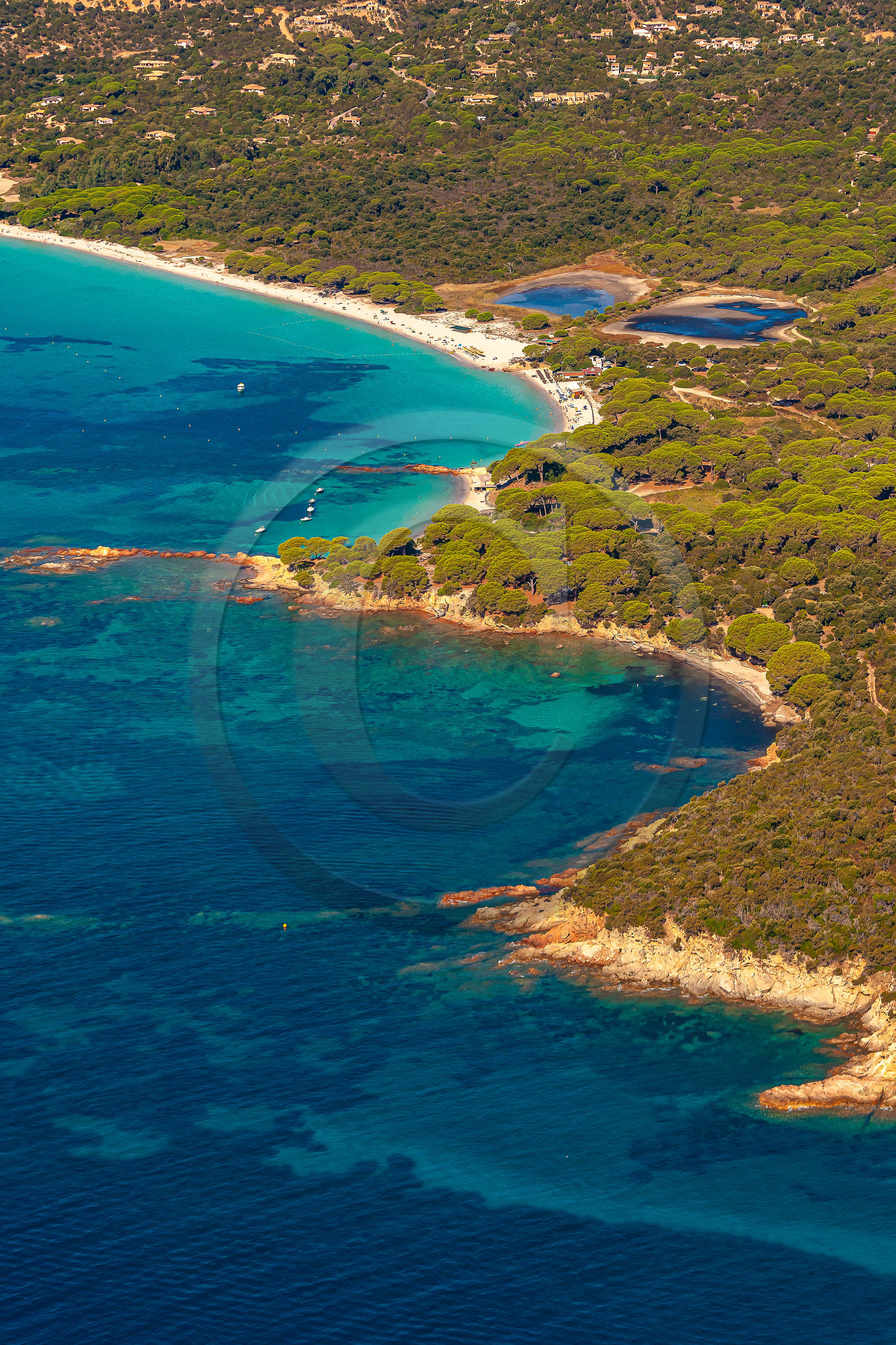 Etang et Plage de Palombaggia