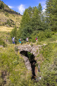 Ancien pont sur le torrent de Chichin