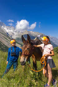 Trek famille avec animaux de bats