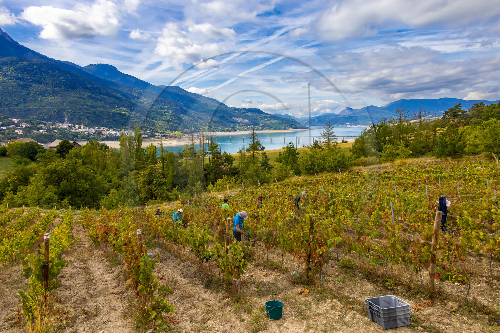 Domaine du Mont Guillaume