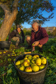 Etablissement Gayral, producteur de jus