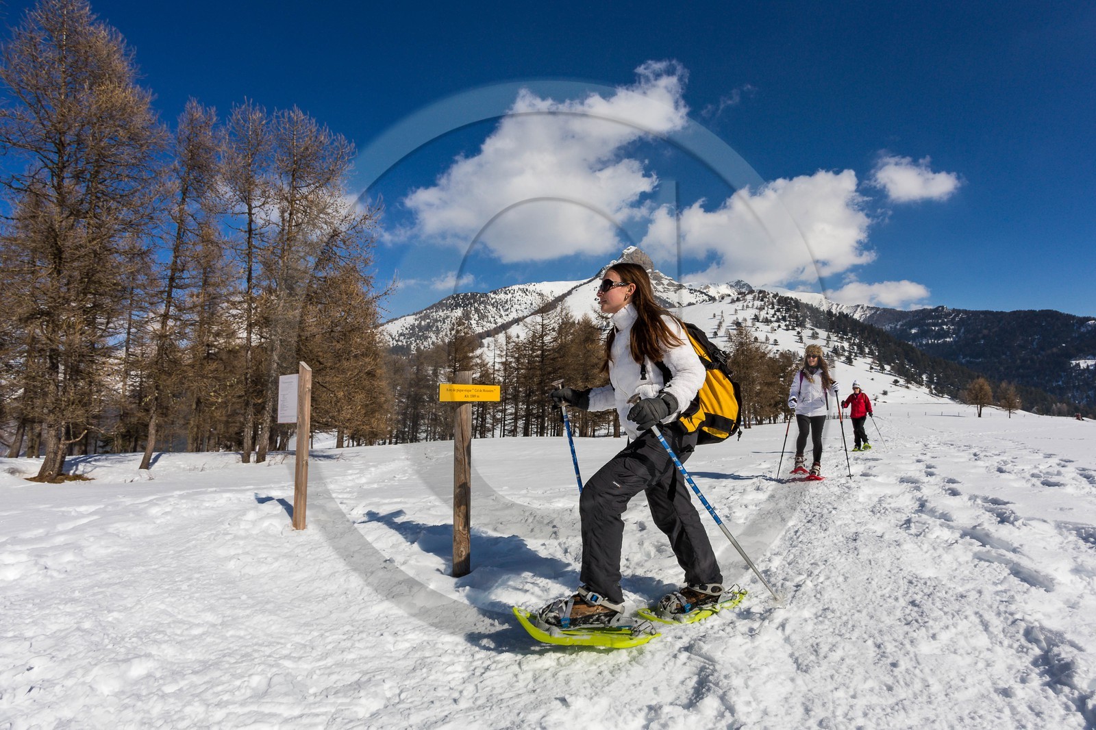Ancelle, col de Moissière, randonnée à raquettes à neige