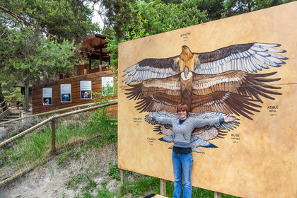 Parc animalier de Serre-Ponçon,