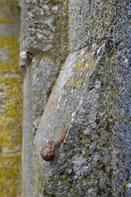 Saint-Martin-de-Ré, Fortifications Vauban inscrites au patrimoi