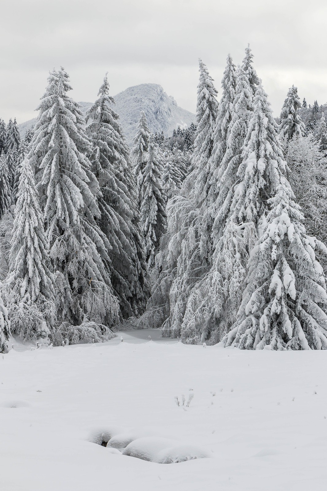 ENS de l'Isère, Les Ecouges