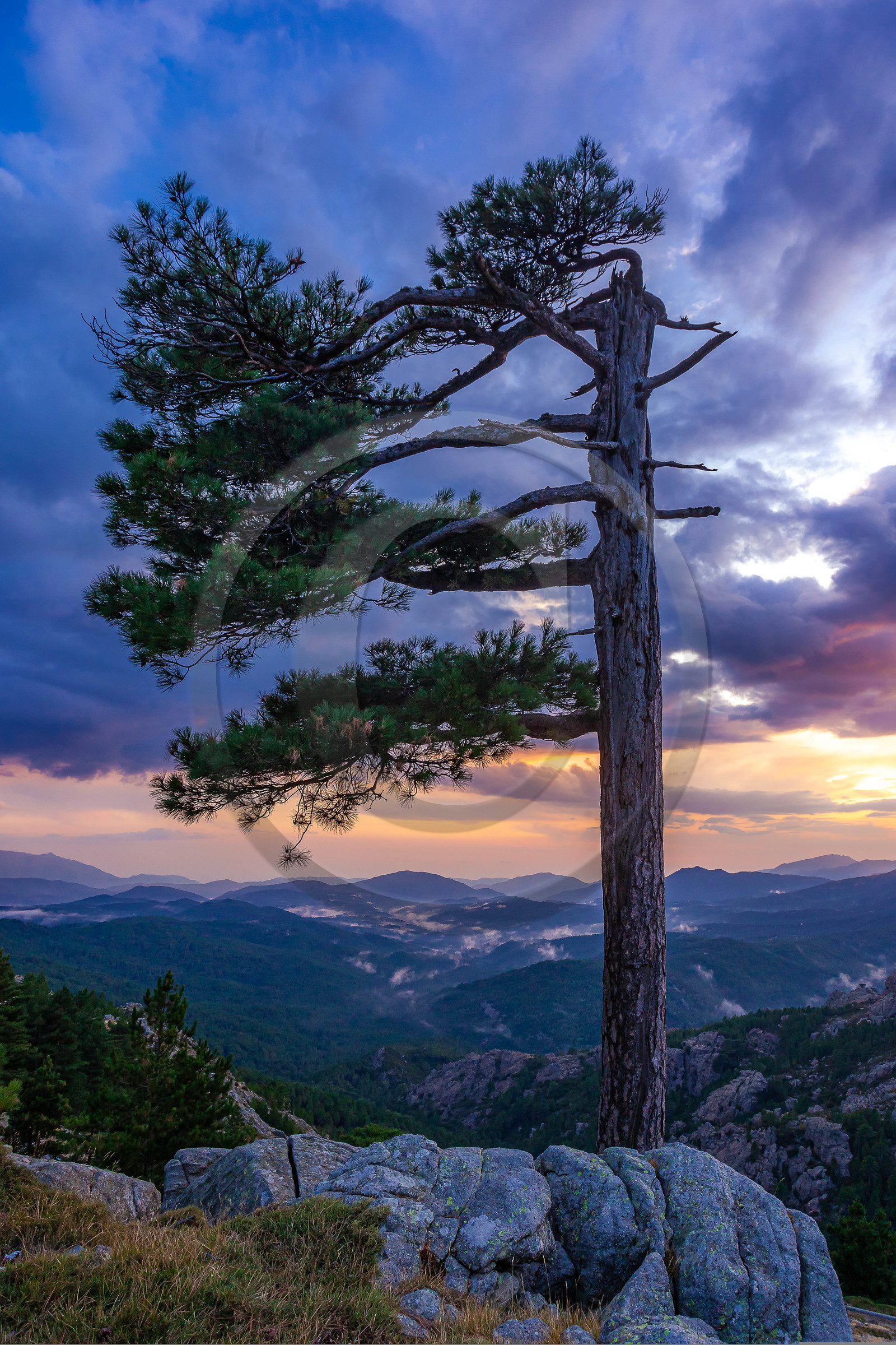 Les Aiguilles de Bavella (forchi di Bavedda )