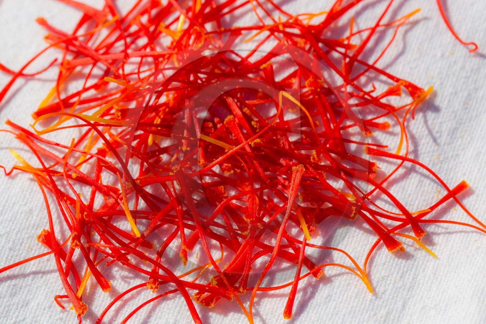 Carole Prost cultive du safran qui ensoleille ses créations