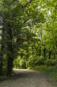 ENS de l'Isère, Boucle de la Taillat