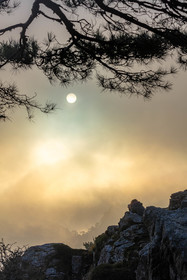 Les Aiguilles de Bavella (forchi di Bavedda )