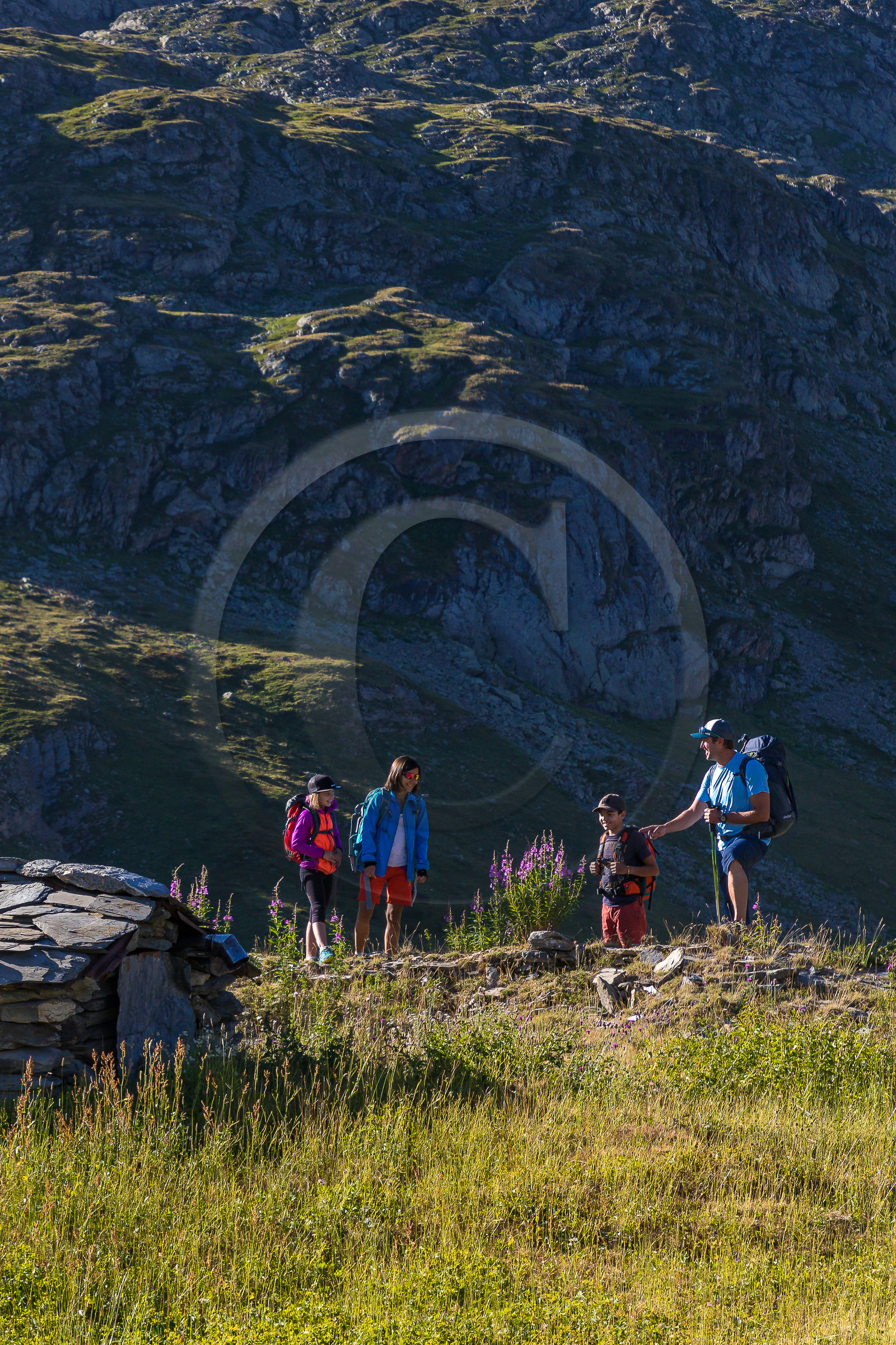 Plateau d'Emparis, randonnée pédestre
