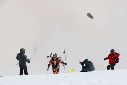 Ski Ecrins 2014, 1ère traversée des Écrins, course de ski alpinisme