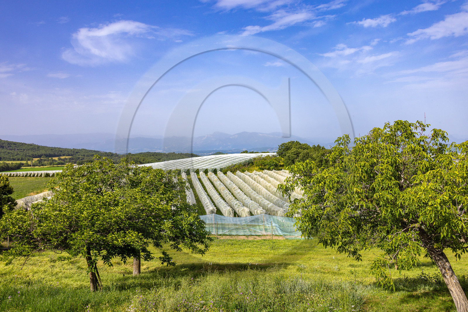 Melve, Gaec de la Maurelle