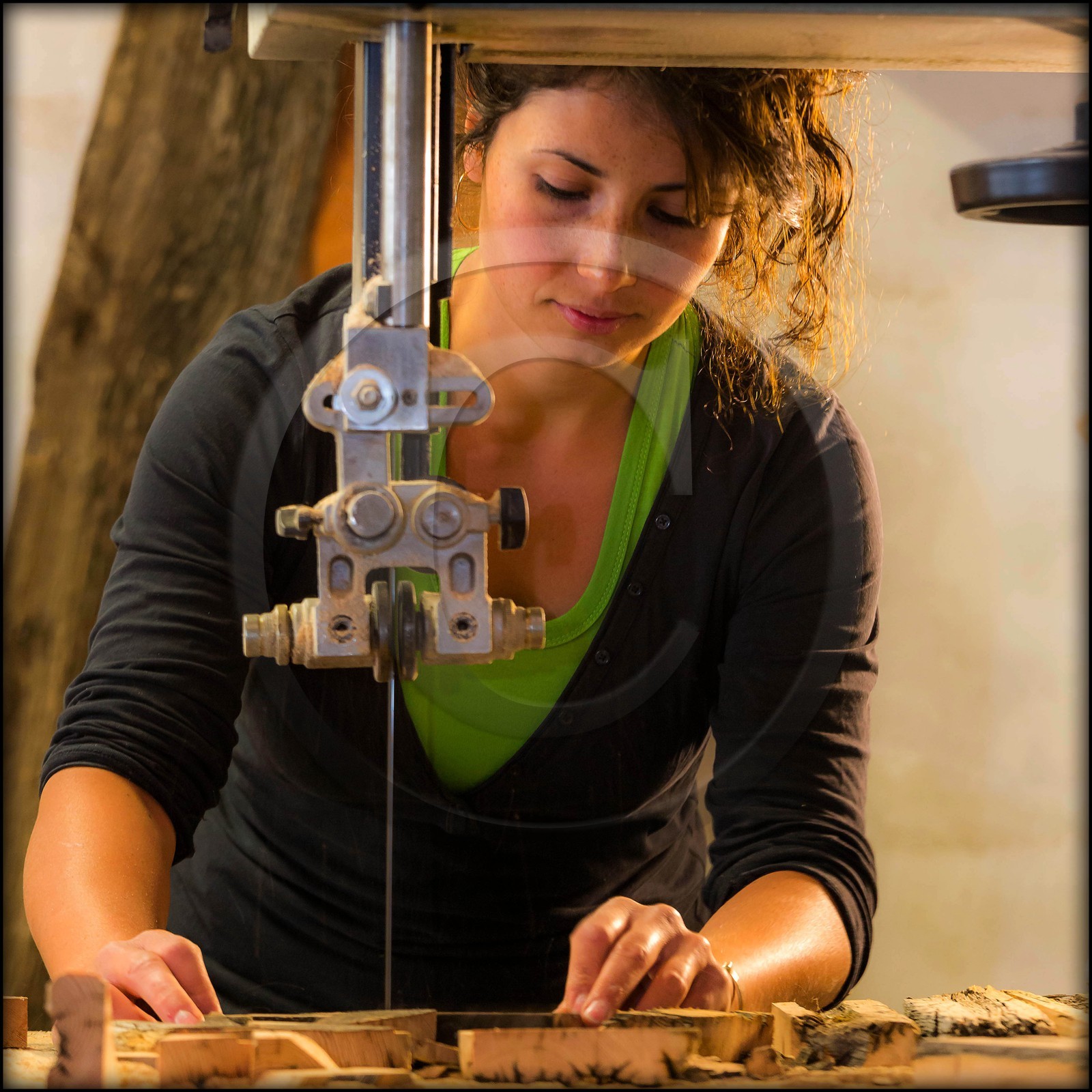 Floranne Blanc-Debrune, Acanthernel, Sculpture, ébénisterie, créations