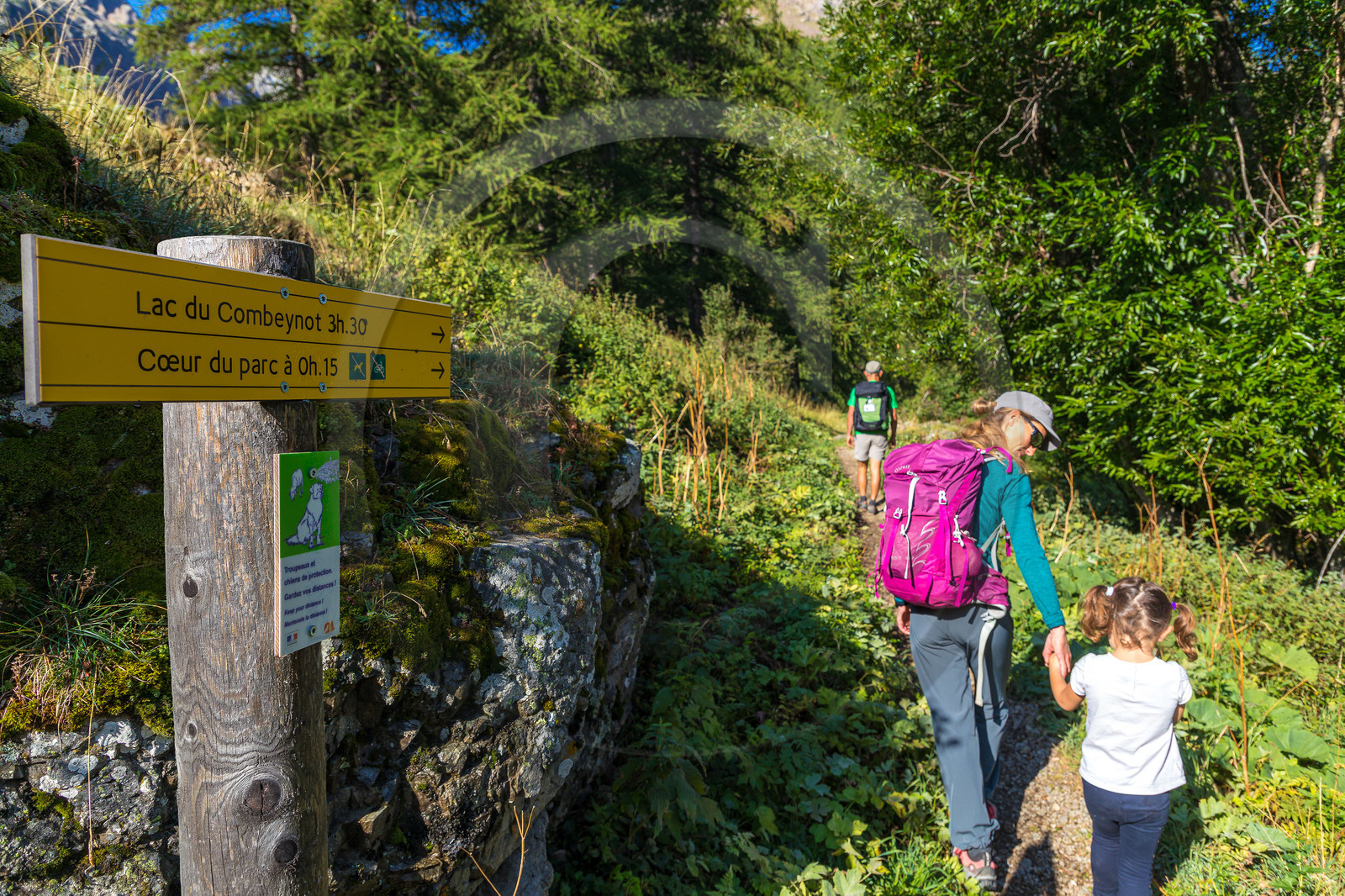 Bureau Montagne Visa Trekking