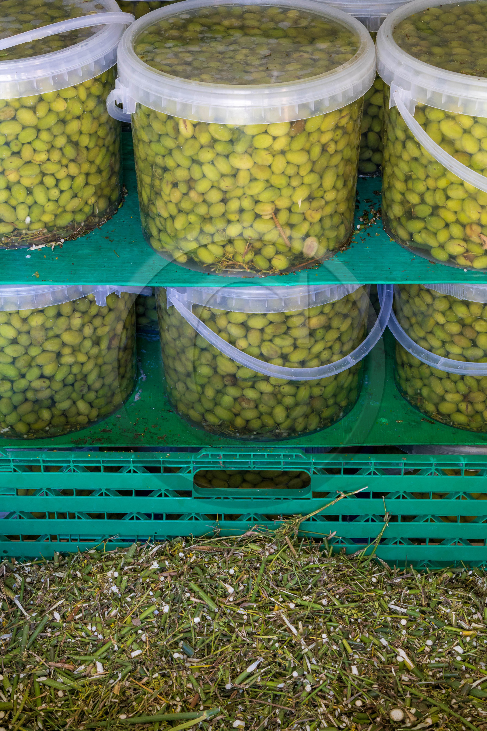 Le verger des Baux, Olivier Roman