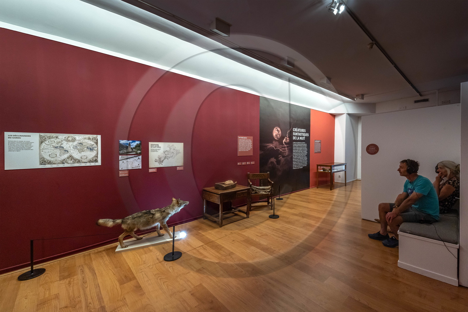 Musée Muséum départemental des Hautes-Alpes, Exposition Nuit