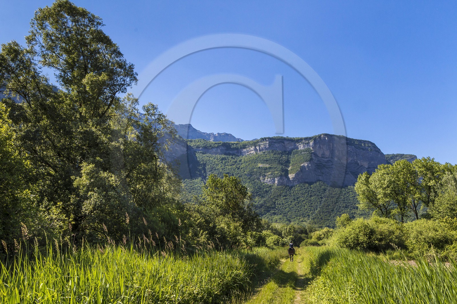 ENS de l'Isère, Marais de Montfort