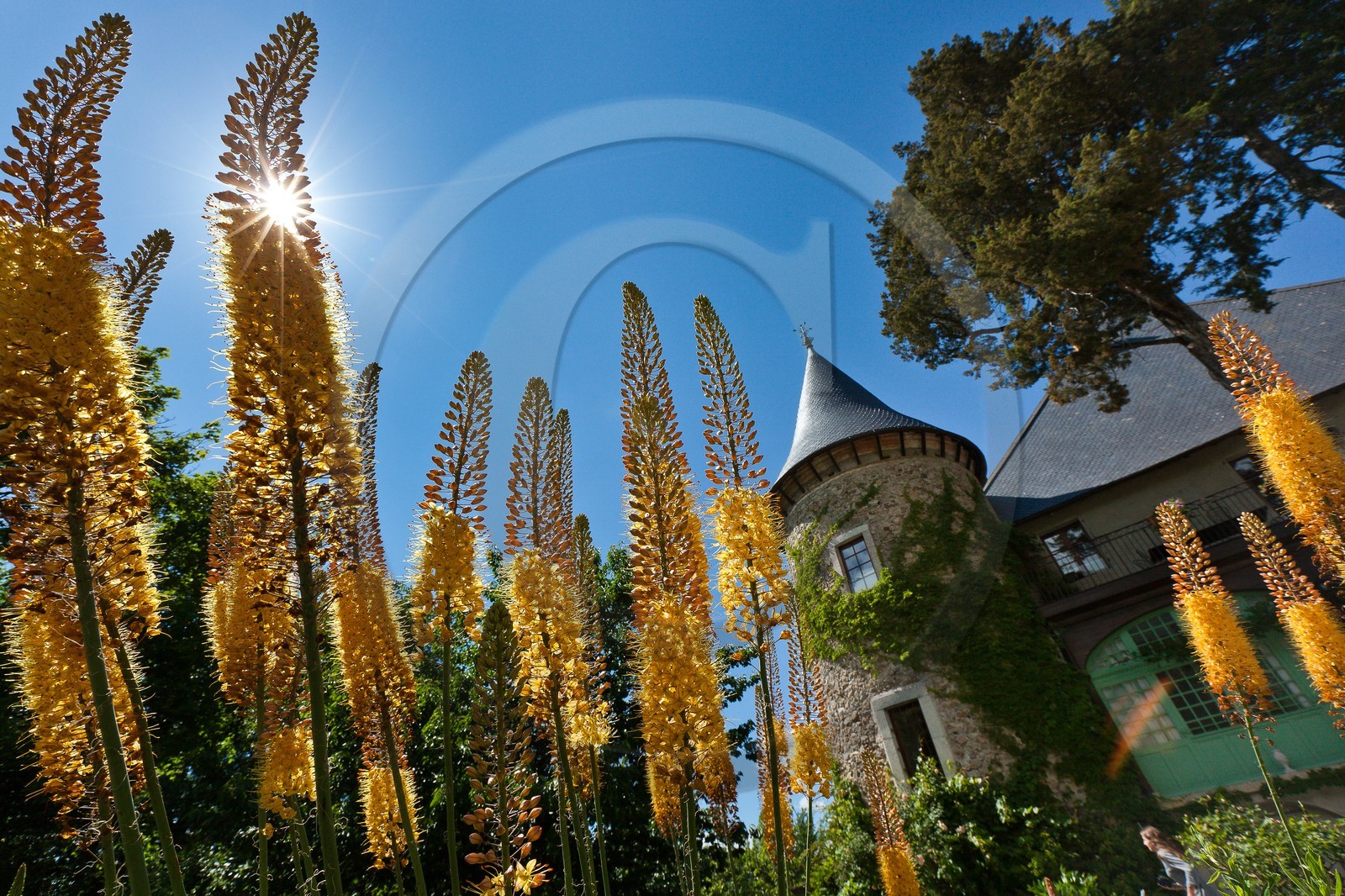 Château de Picomtal,  les jardins du château