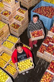 Noëlle et Franck Jacob, producteurs de fruits