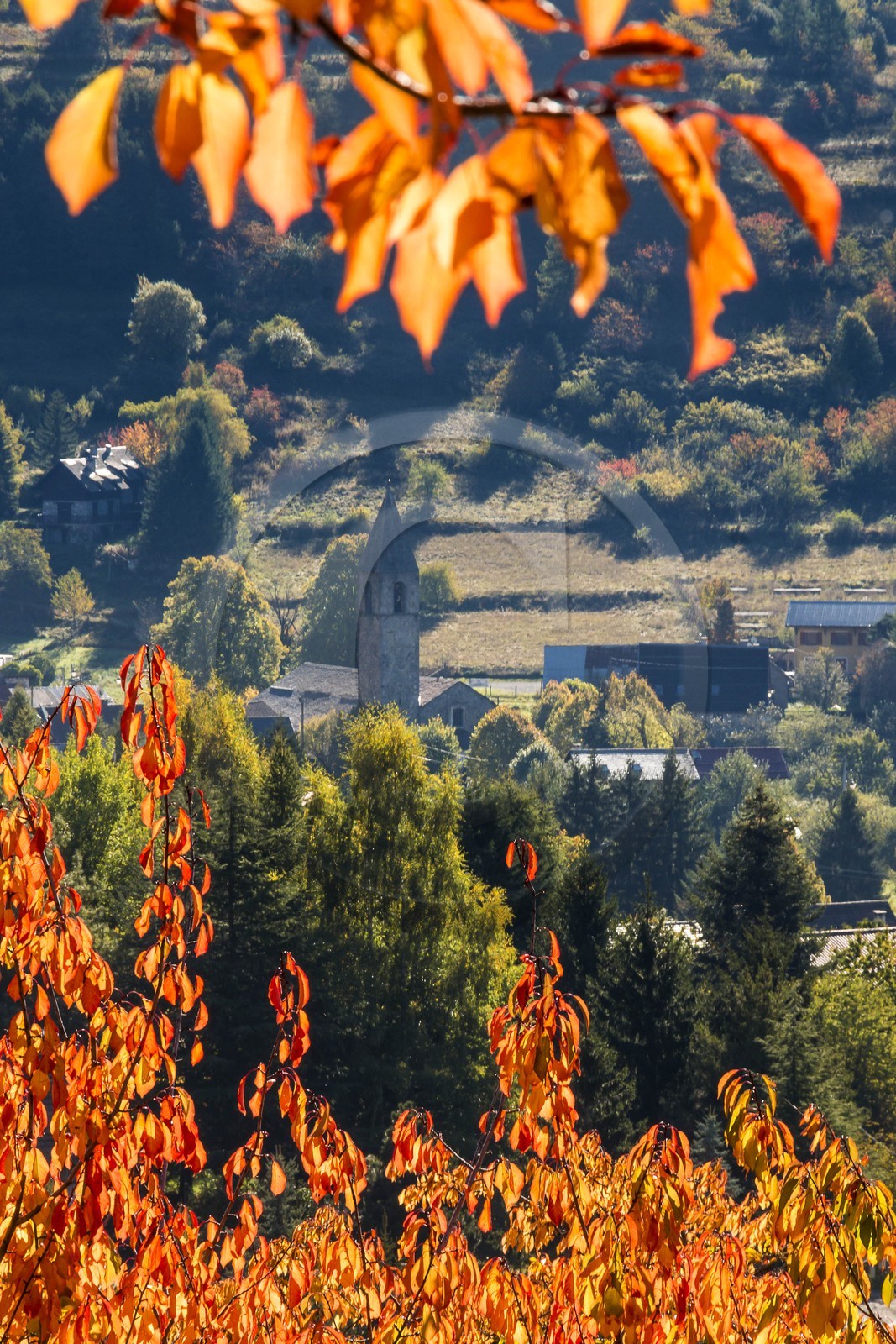 Valdeblore, Saint-Dalmas