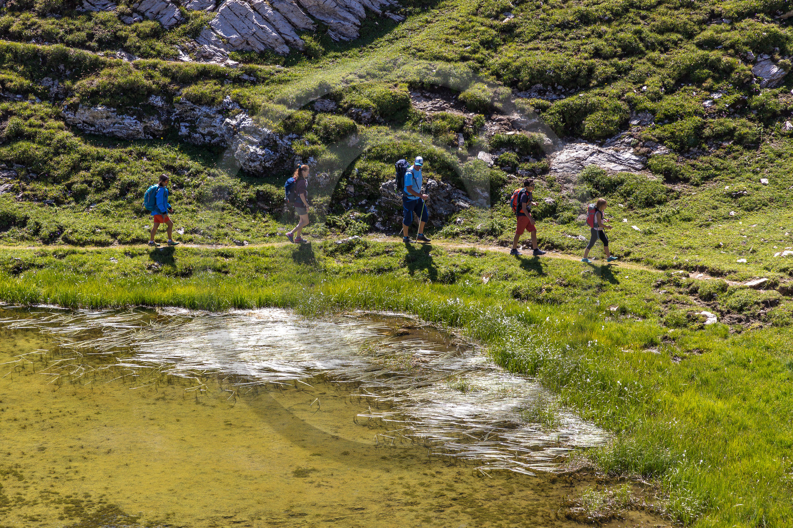 Plateau d'Emparis, randonnée pédestre