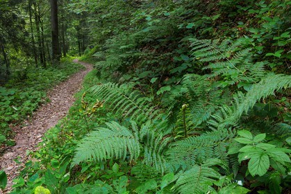 ENS de l'Isère, Les Ecouges