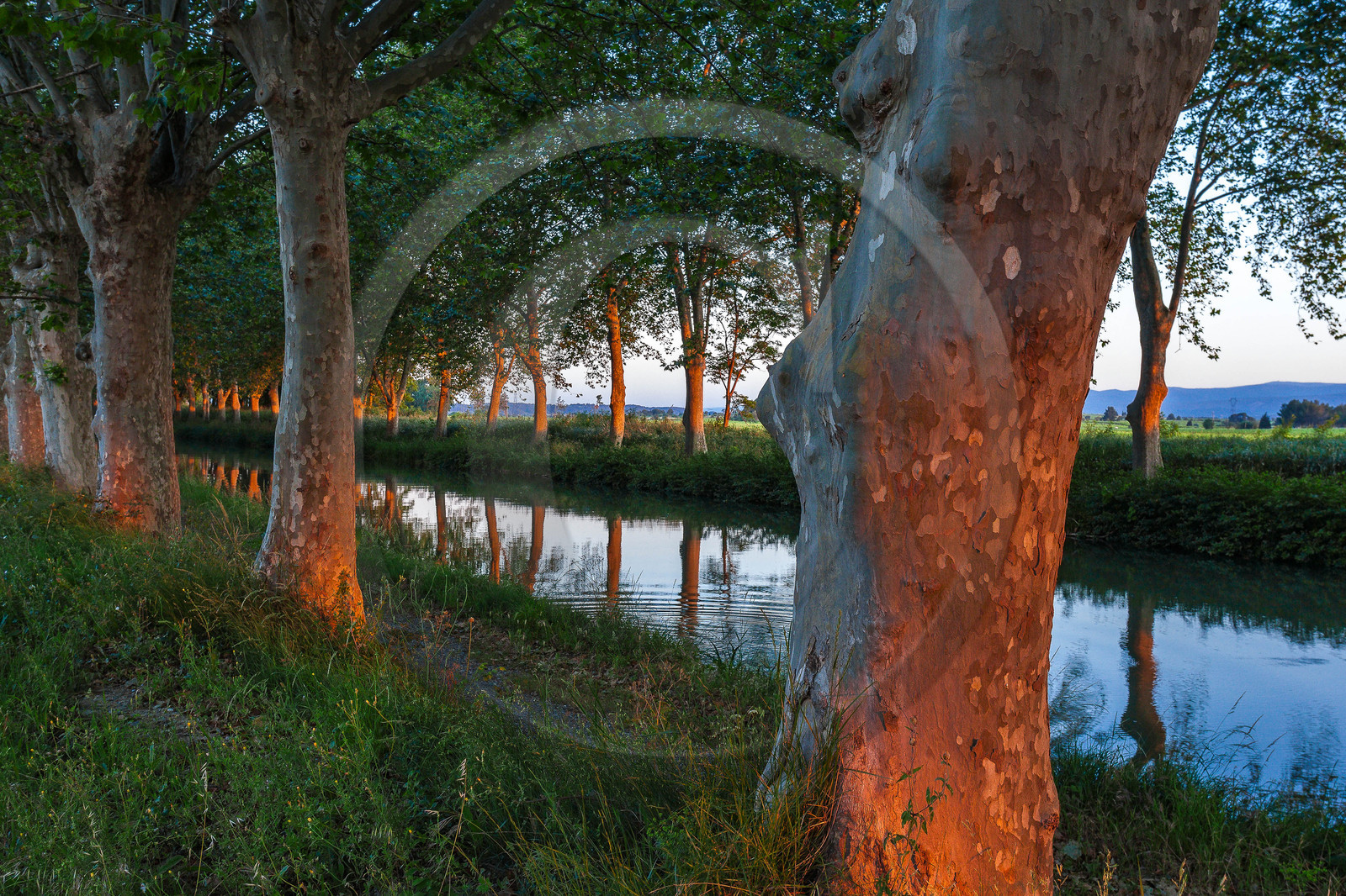 Canal du Midi, inscrit au Patrimoine mondial de l'UNESCO