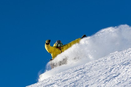 Surf des neige, Snowboard