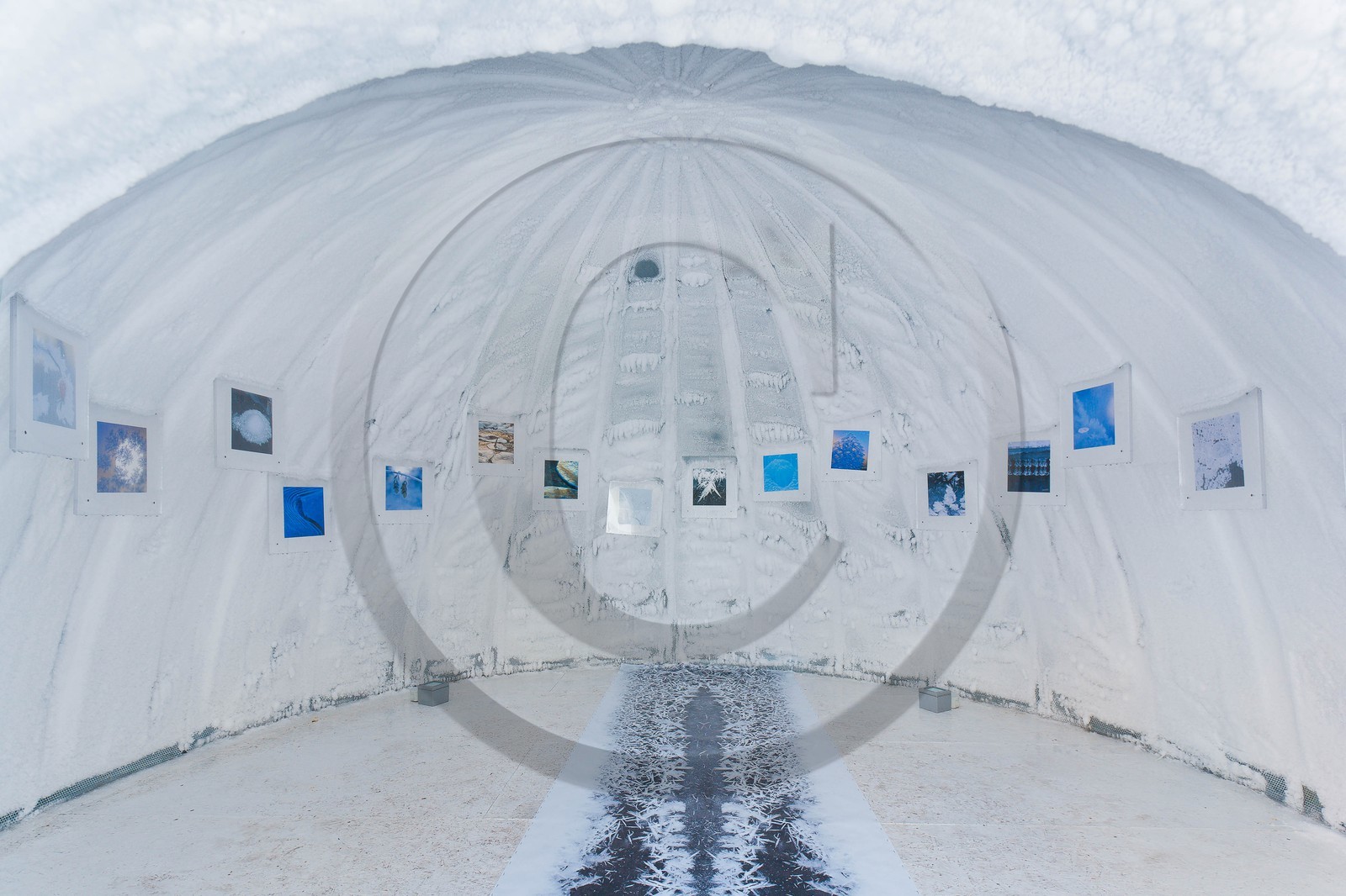Monaco, exposition de Bertrand Bodin Délices de gel