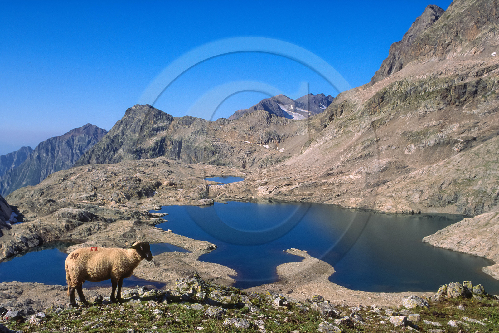 Lacs de Crupîllouse