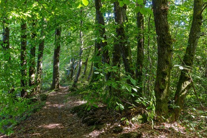 ENS de l'Isère, Etang des Béroudières