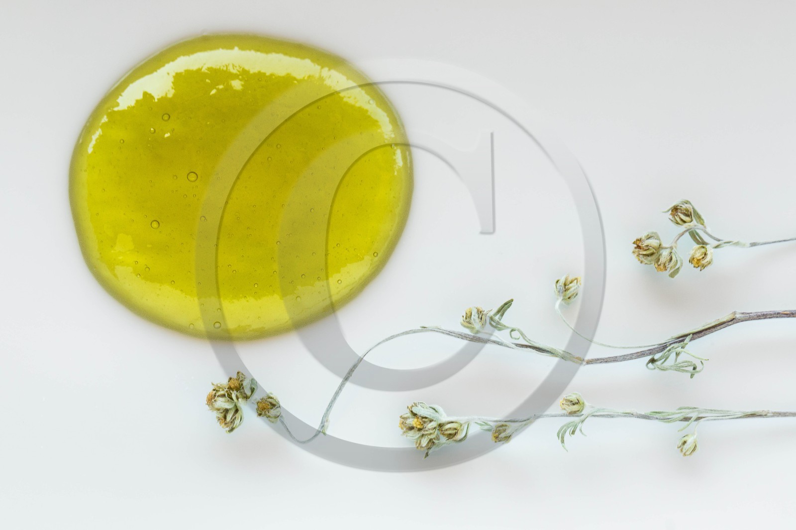 Délice de génépi, confiture