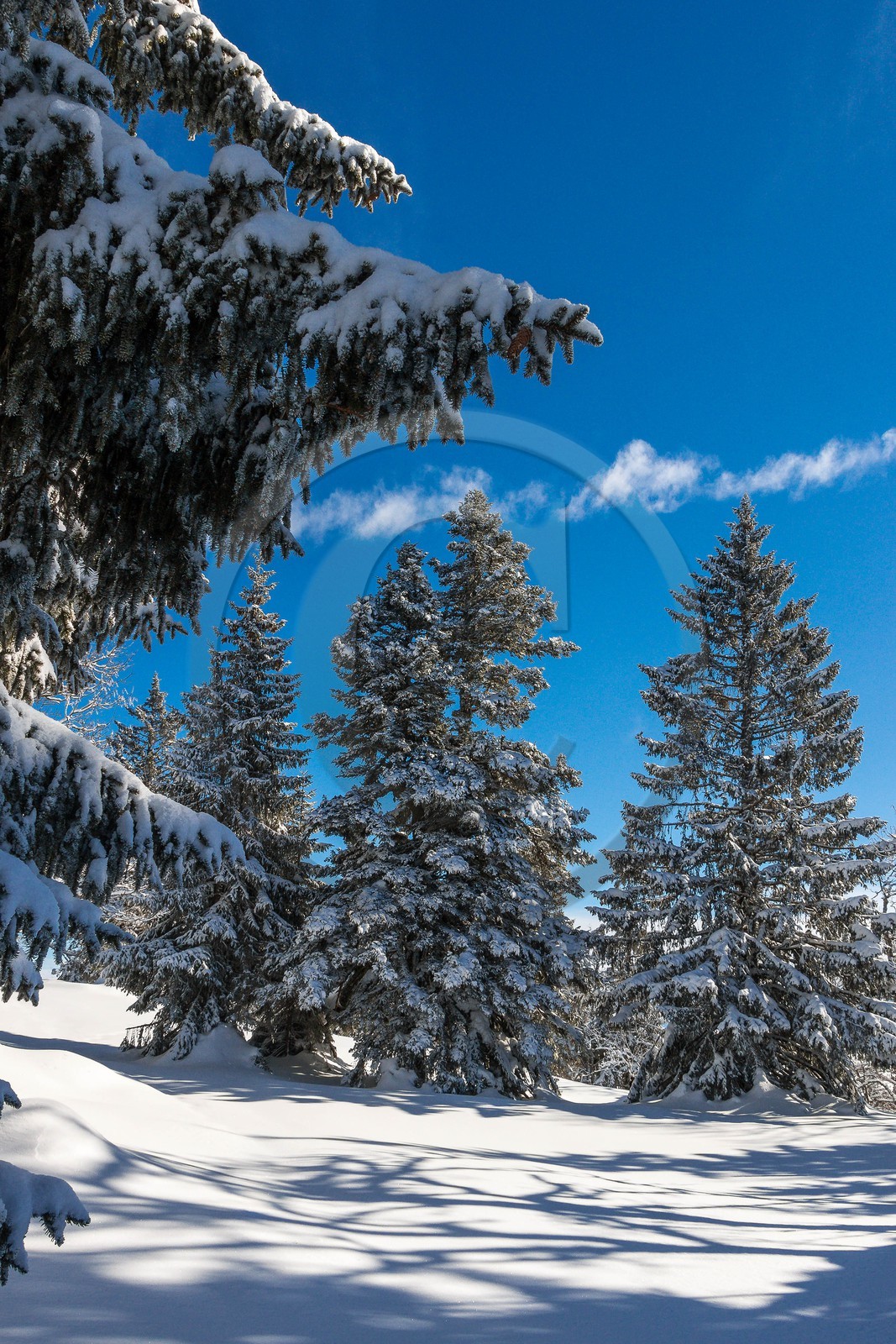 ENS de l'Isère, Plateau de la Molière et du Sornin