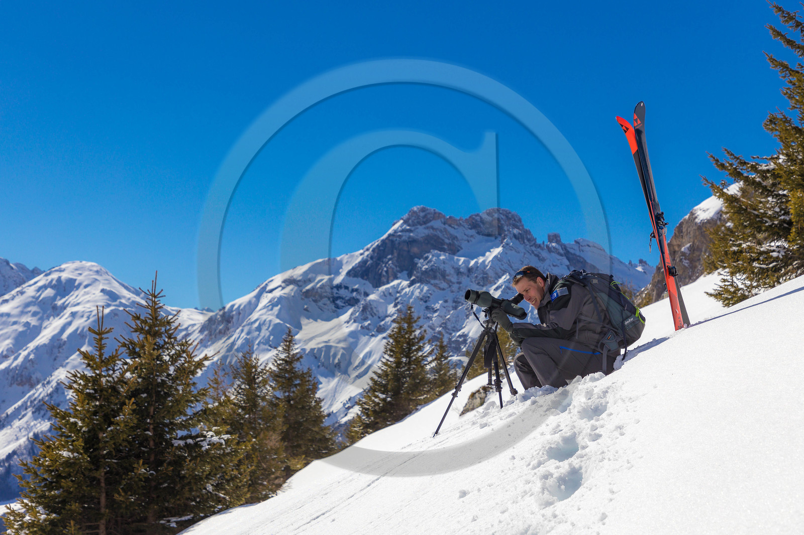 Parc national de la Vanoise, Fabien Devidal