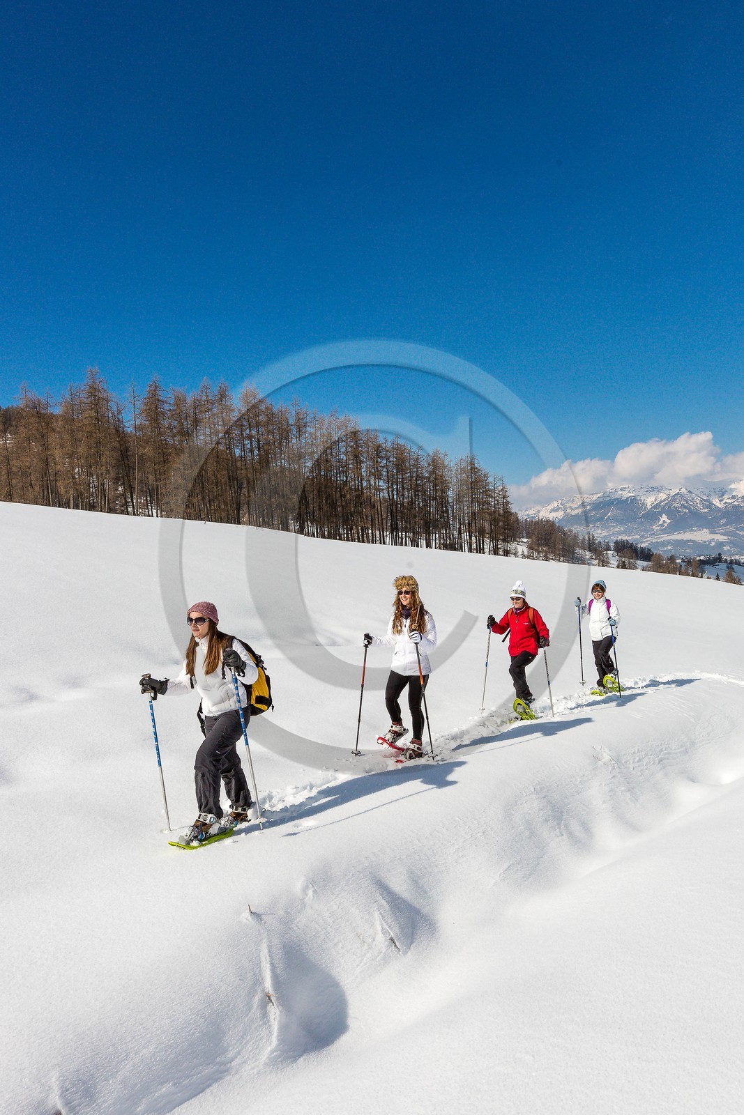 Ancelle, col de Moissière, randonnée à raquettes à neige