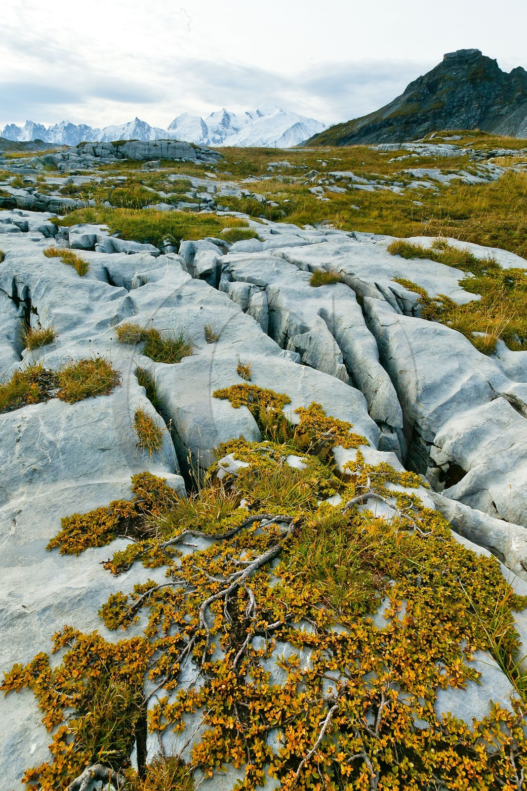 Désert de Platé, le Dérochoir et le Mont-Blanc