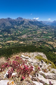 Saint-Bonnet-en-Champsaur