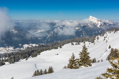 Espace naturel sensible de l'Isère, Col du Coq