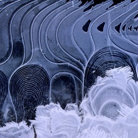 Délices de gel
