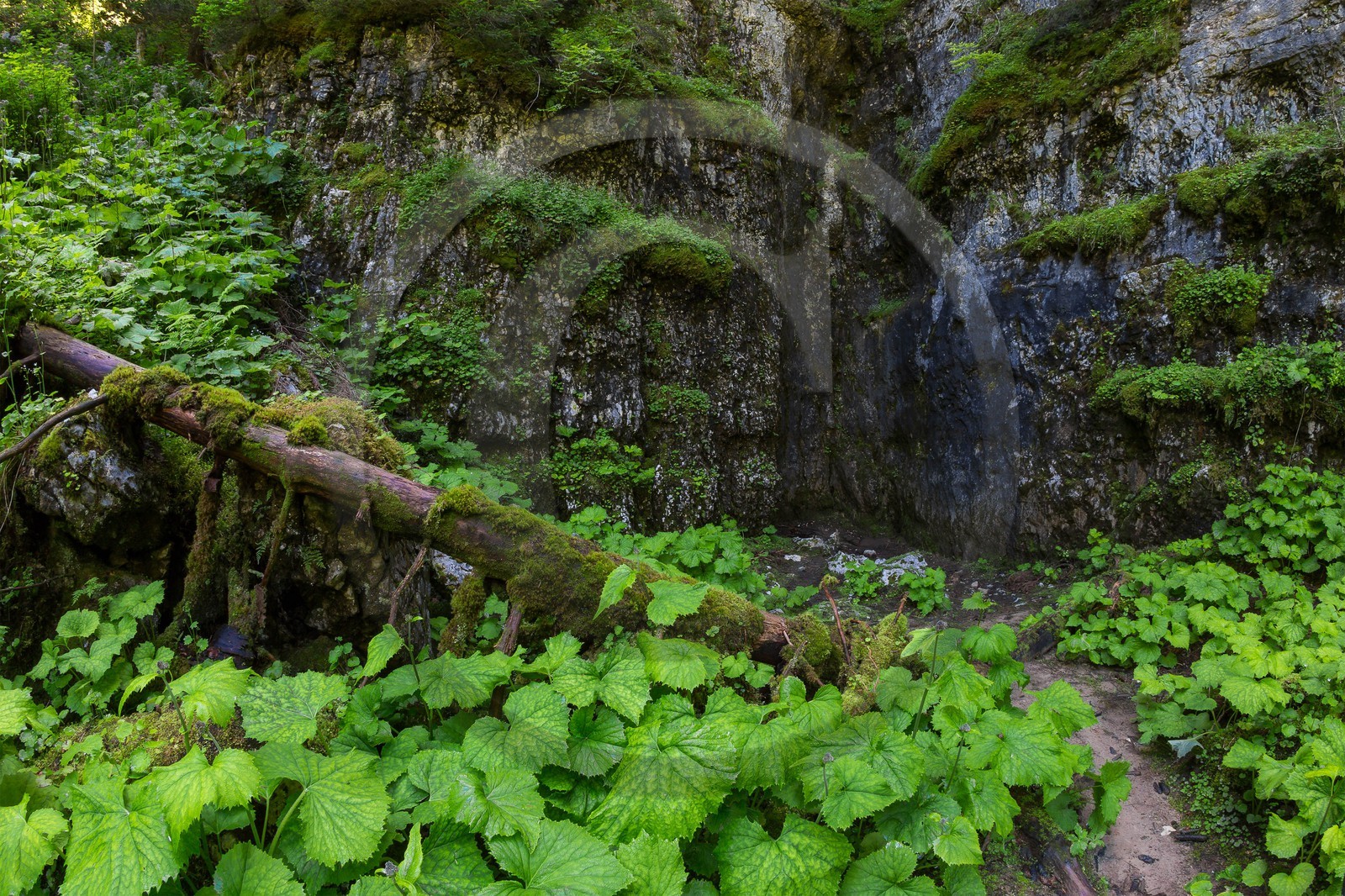 ENS de l'Isère, Plateau de la Molière et du Sornin, Le Puits aux Ecritures, gravures rupestres