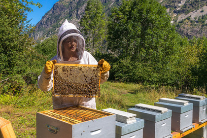 Margaux and Didier Pissard, beekeepers