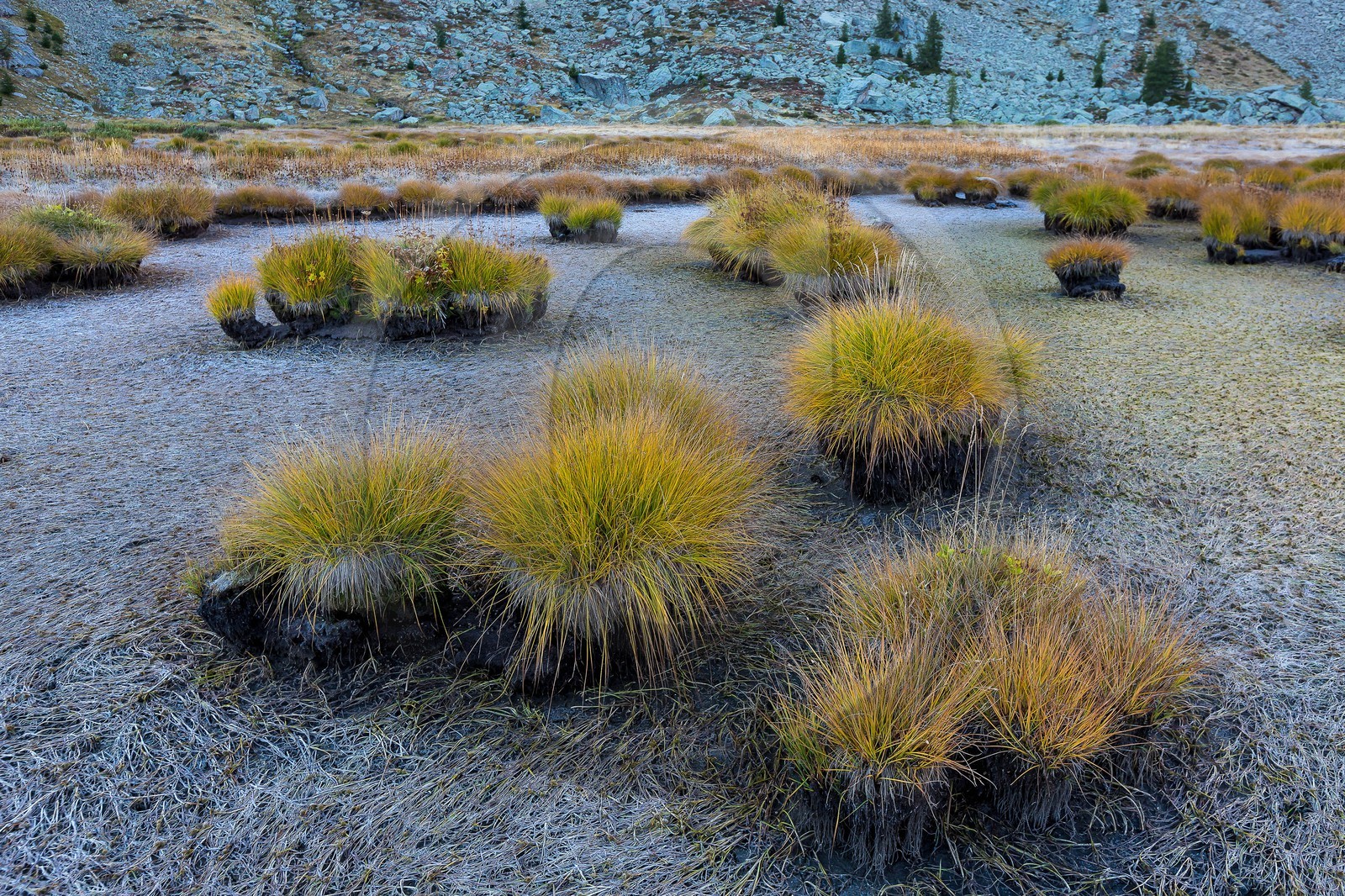 Vallon du Laverq, lac et tourbière Les Eaux-Tortes