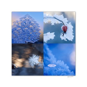 Givre_60_x_60
