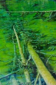Lac Vert, vallée Etroite