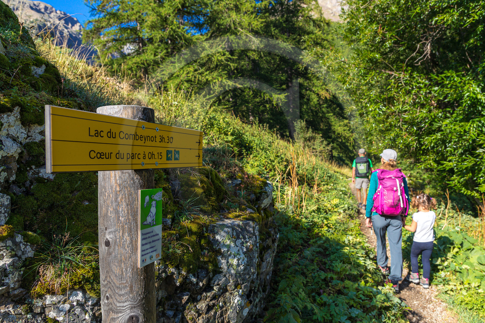 Bureau Montagne Visa Trekking