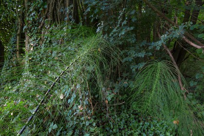 ENS de l'Isère, Boucle des Moïles