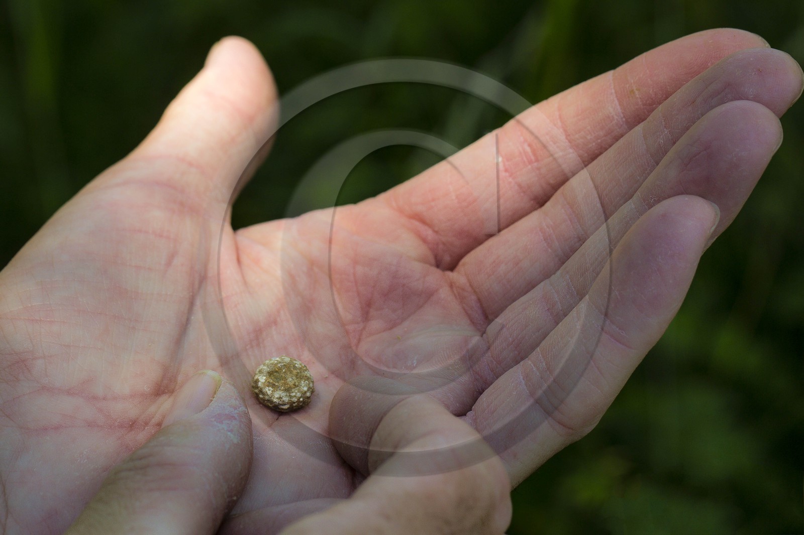 ENS de l'Isère, vallée fossile des Rimets