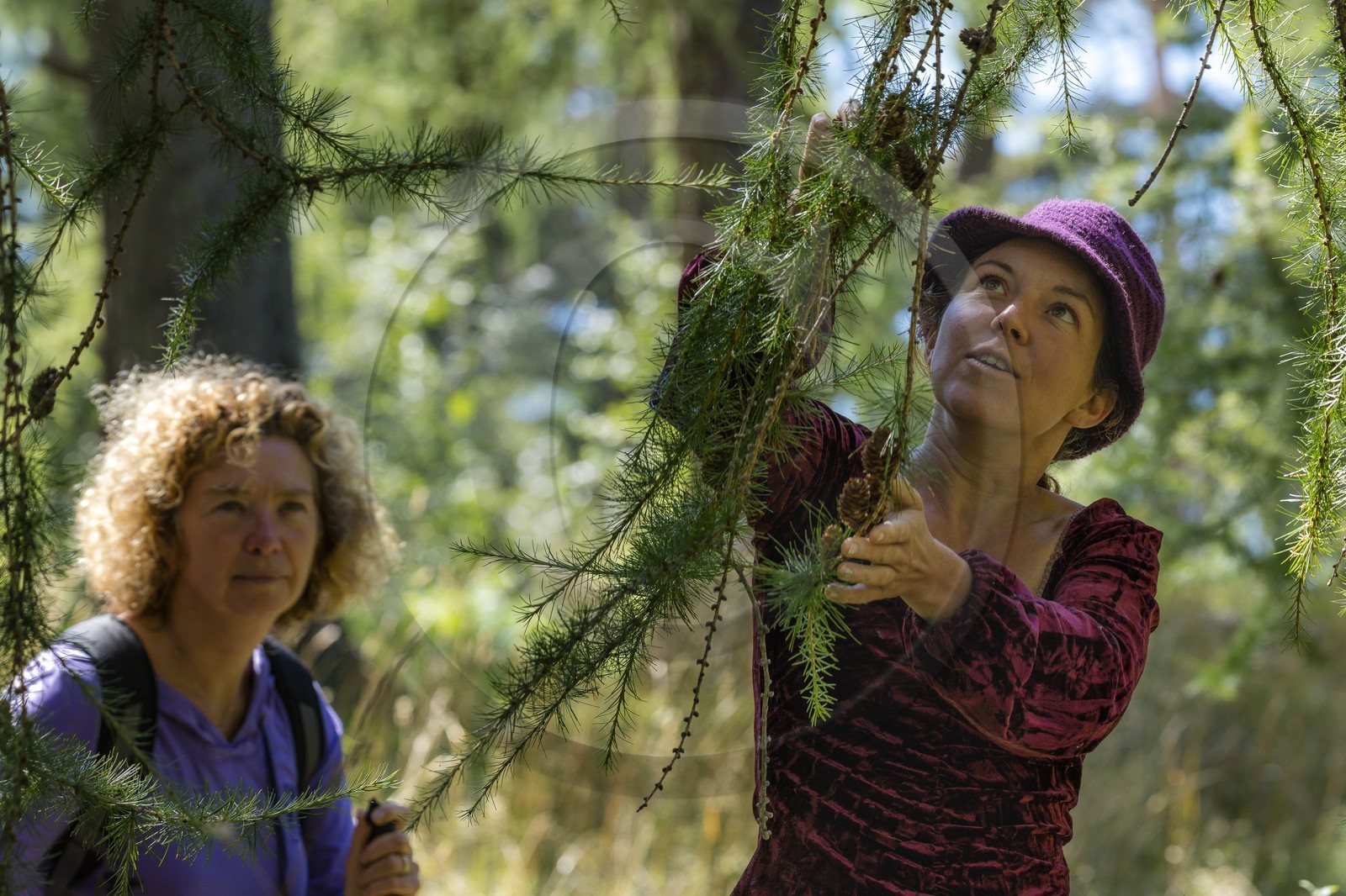 Sandrine Charriot, accompagnatrice en moyenne montagne